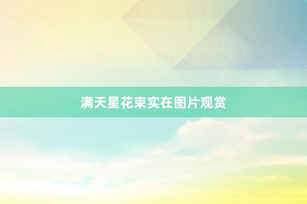 满天星花束实在图片观赏
