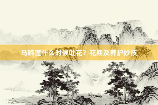 马蹄莲什么时候吐花？花期及养护妙技
