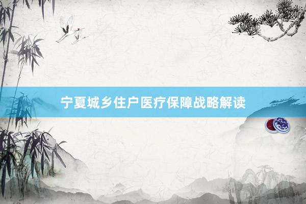 宁夏城乡住户医疗保障战略解读