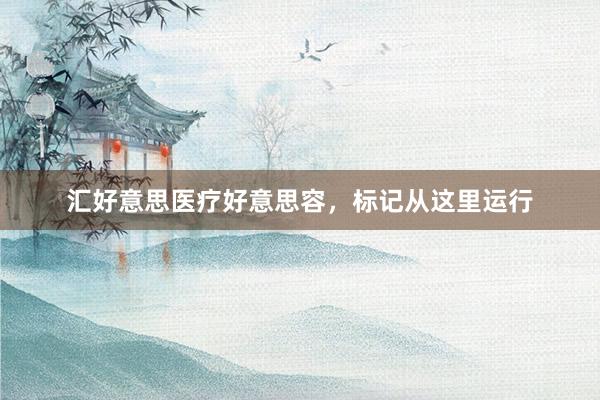 汇好意思医疗好意思容，标记从这里运行