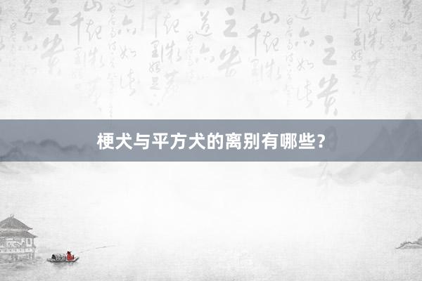 梗犬与平方犬的离别有哪些？