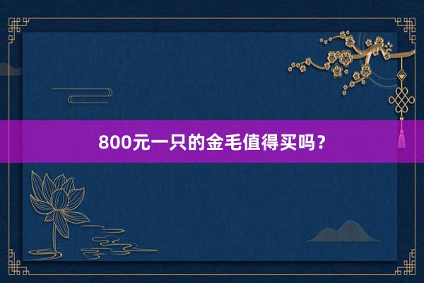 800元一只的金毛值得买吗？