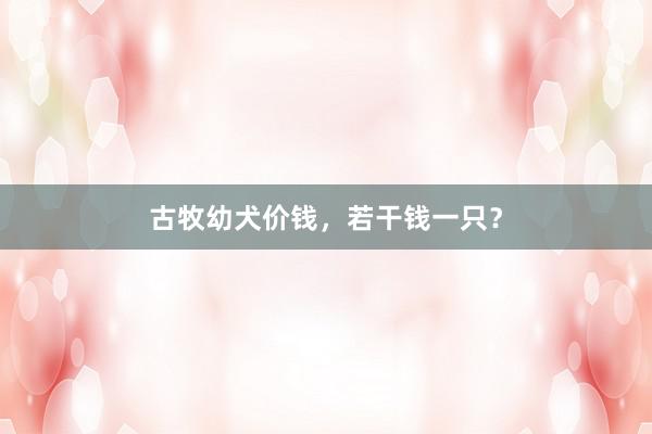 古牧幼犬价钱，若干钱一只？