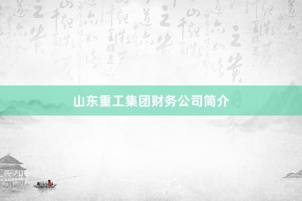 山东重工集团财务公司简介