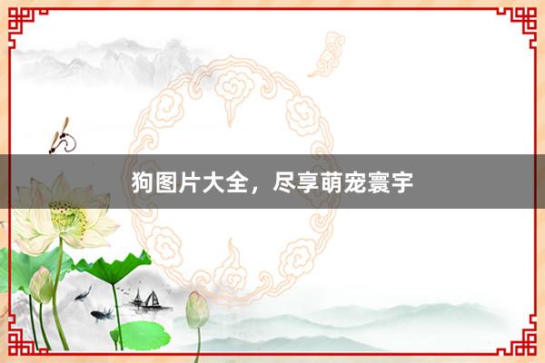 狗图片大全，尽享萌宠寰宇